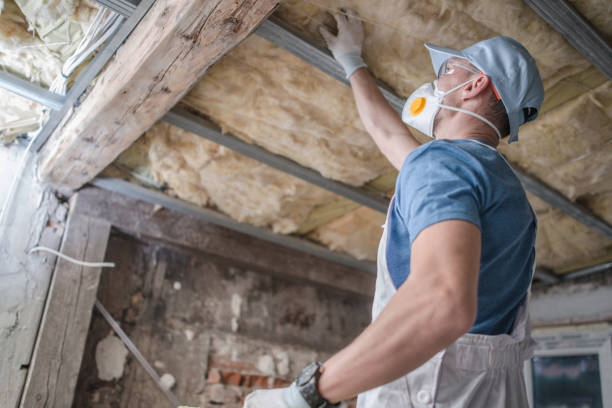 Best Insulation Maintenance and Repair in Meadow Les, AK