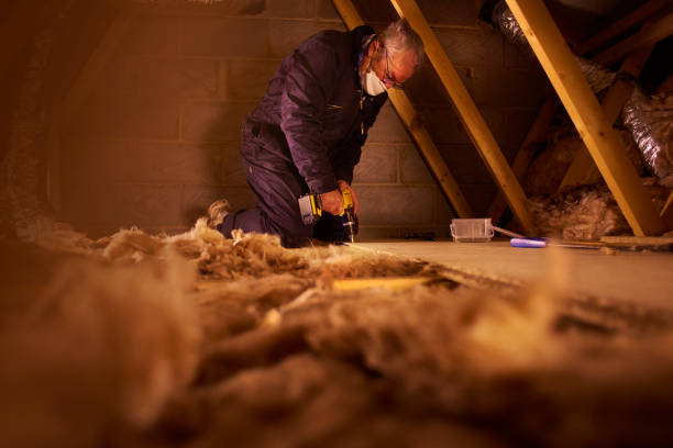 Best Blown-in Insulation in Meadow Les, AK